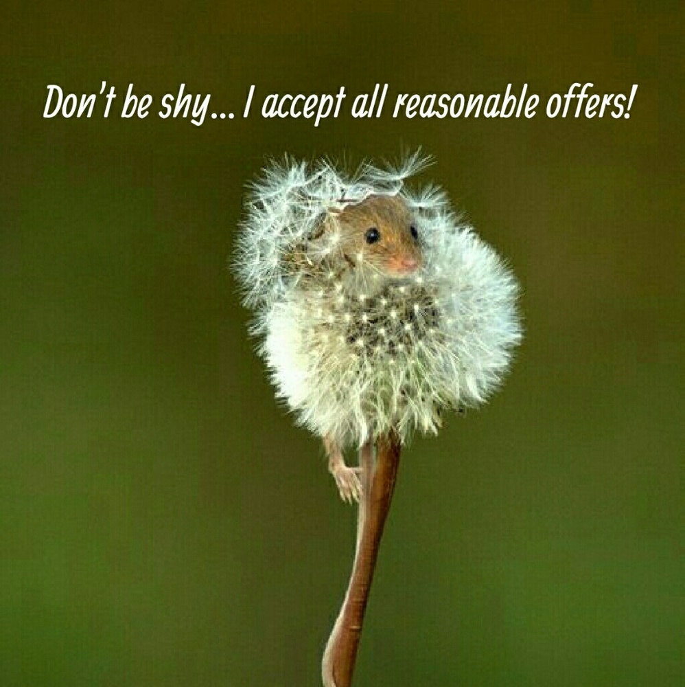 Meet your Posher, Bridget